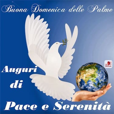 Domenica Palme