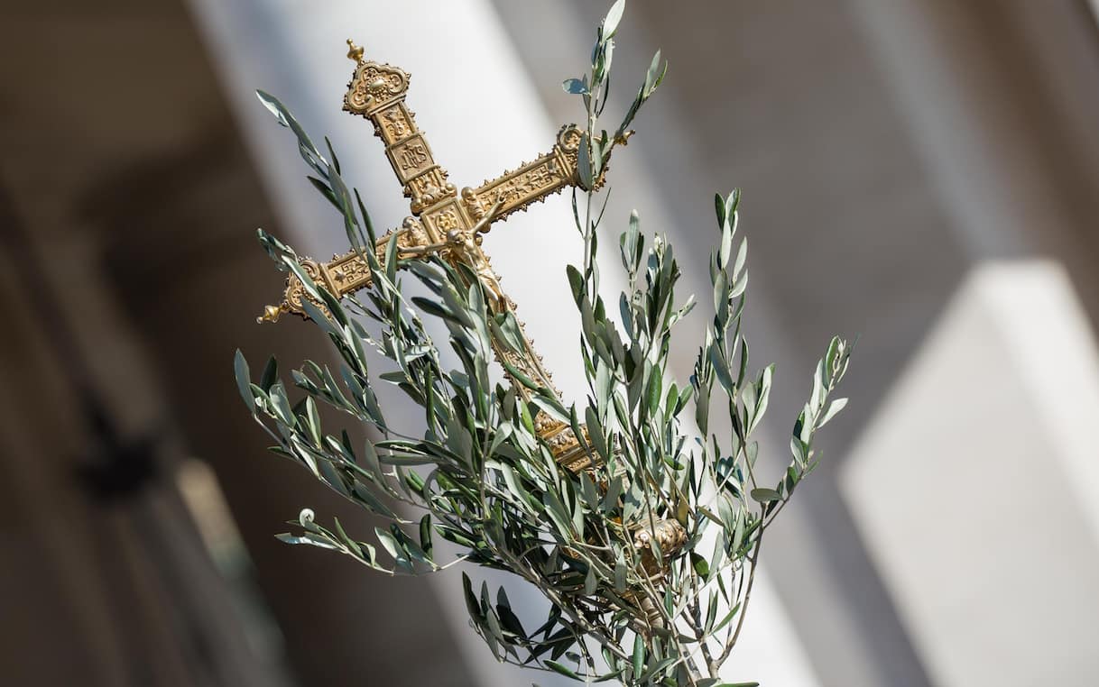 Domenica delle Palme, cosa si celebra, significato e perché si benedice l'ulivo