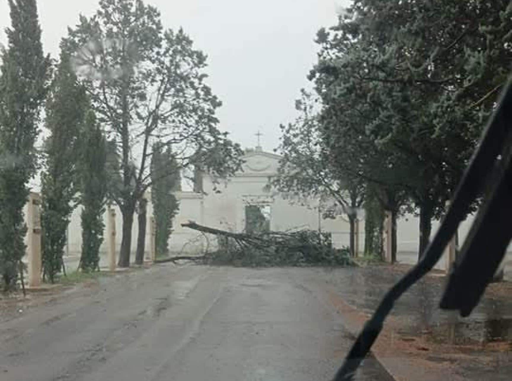 Un violento temporale si è abbattuto sul territorio di Porto Cesareo (Lecce), accompagnato da fortissime raffiche di vento, 18 agosto 2026. L'ondata di maltempo ha coinvolto tutto il litorale Jonico fino ad Ugento. A Porto Cesareo, una tromba d'aria ha fatto crollare le luminarie in allestimento in piazza Nazario Sauro per i festeggiamenti in onore di Santa Cesarea, in programma da domani per quattro giornate, con il cedimento di alcuni pali e il rovesciamento di archi luminosi.  ANSA/Comune Porto Cesareo ++FOTO DIFFUSA DALL'UFFICIO STAMPA - USARE SOLO PER ILLUSTRARE OGGI LA NOTIZIA INDICATA NEL TITOLO - NON ARCHIVIARE – FOTO NON IN VENDITA - DA USARE SOLO PER FINI GIORNALISTICI - NPK+++