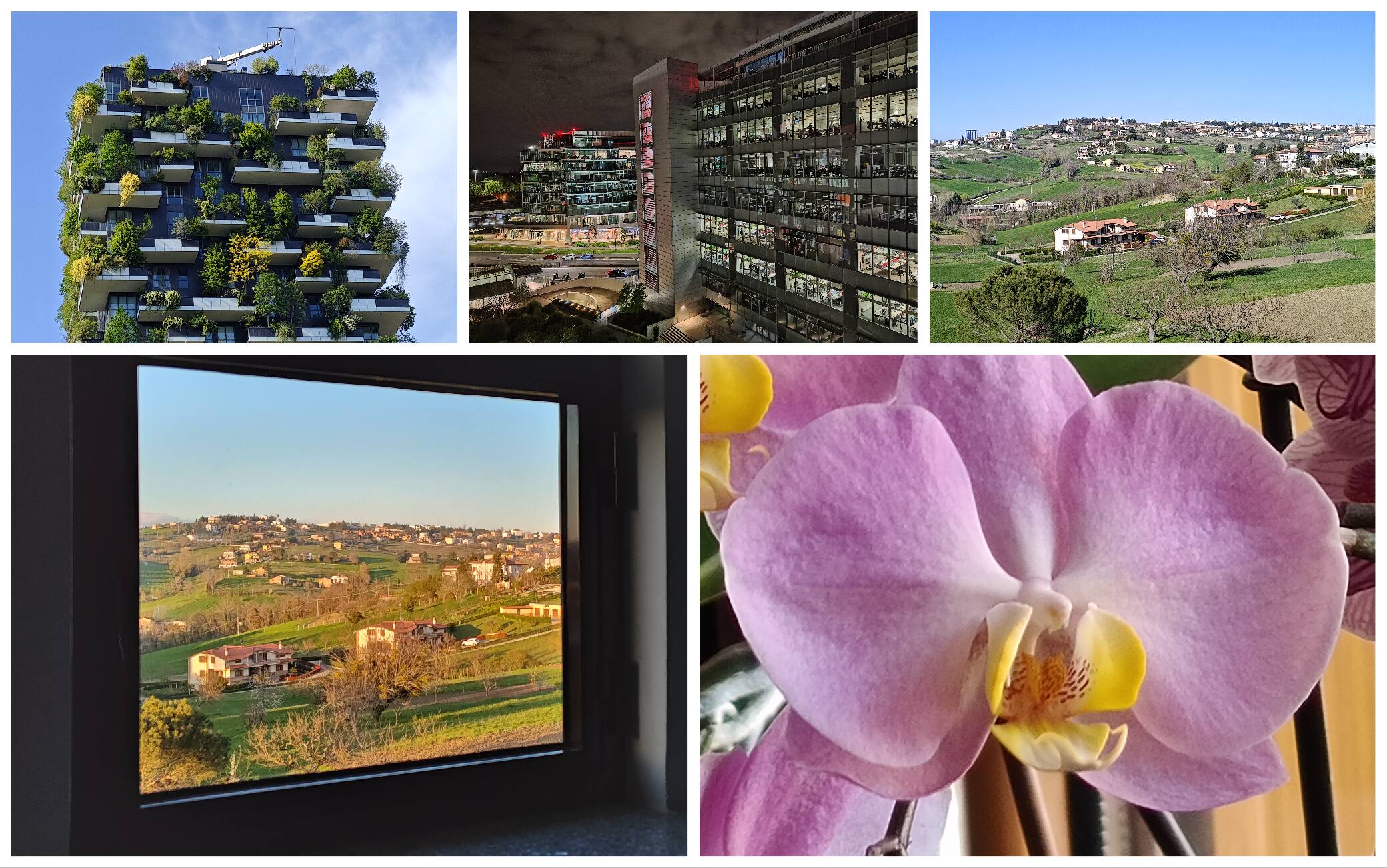 Le foto scattate con Motorola edge 40 pro