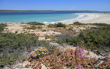 Dirk Hartog Island