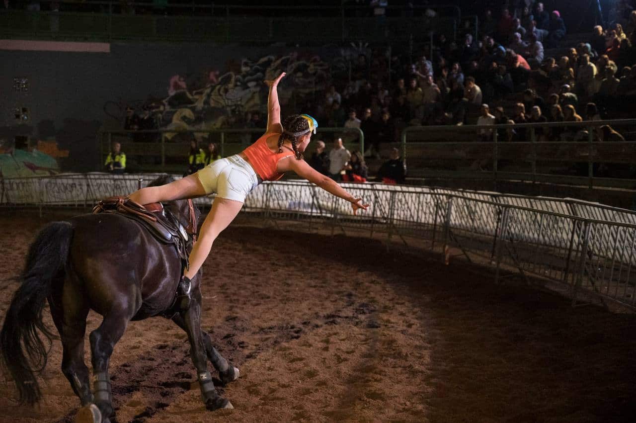 Mostra Nazionale del CavalloMostra Nazionale del Cavallo