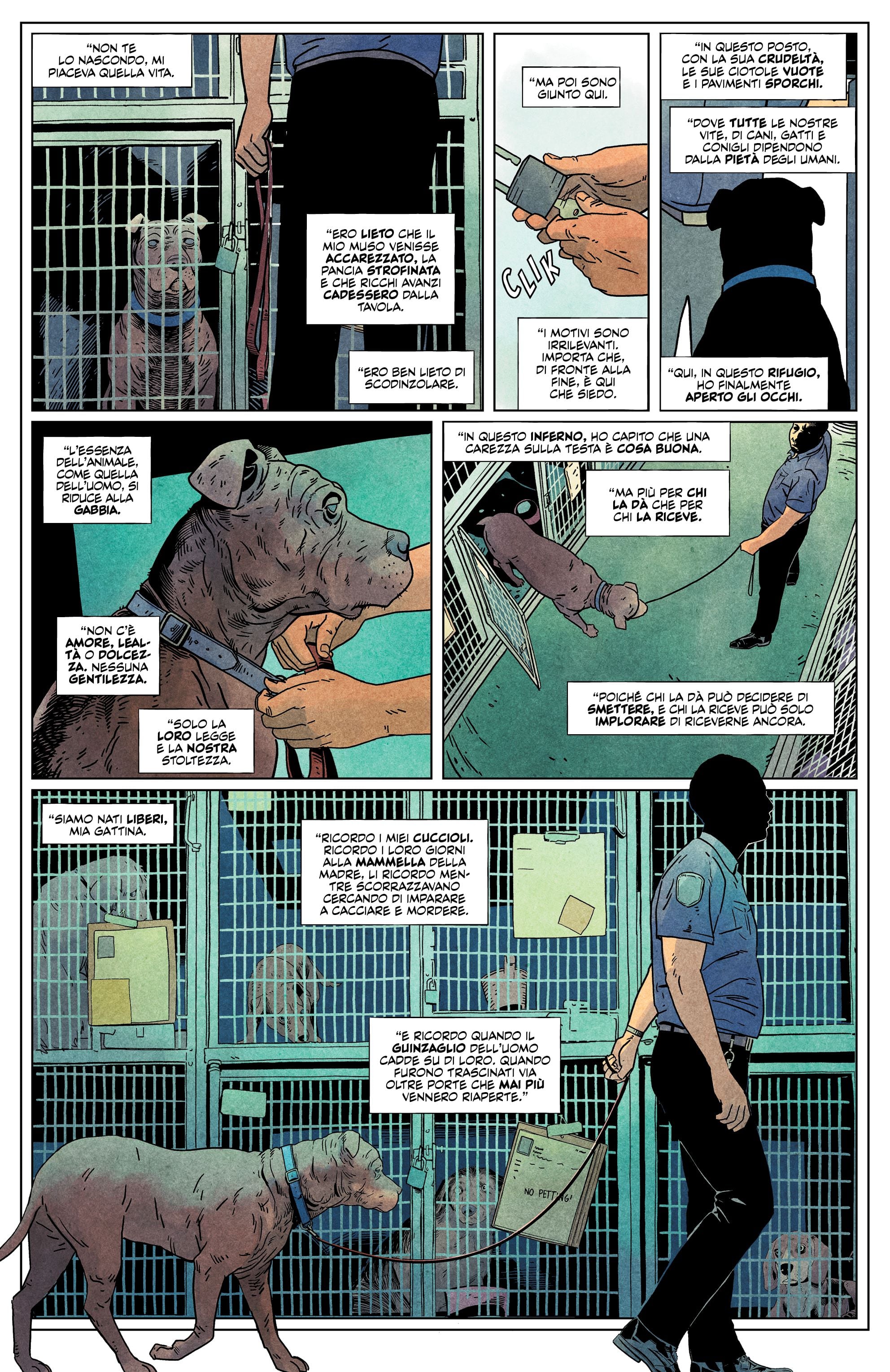 Una tavola tratta da Animal Pound di Tom King e Peter Gross (BAO Publishing)