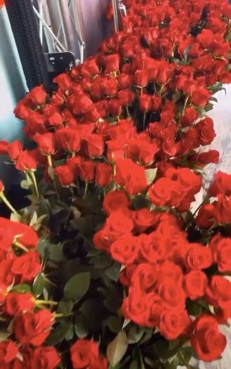 Immagine tratta dal profilo Instagram @dilettaleotta