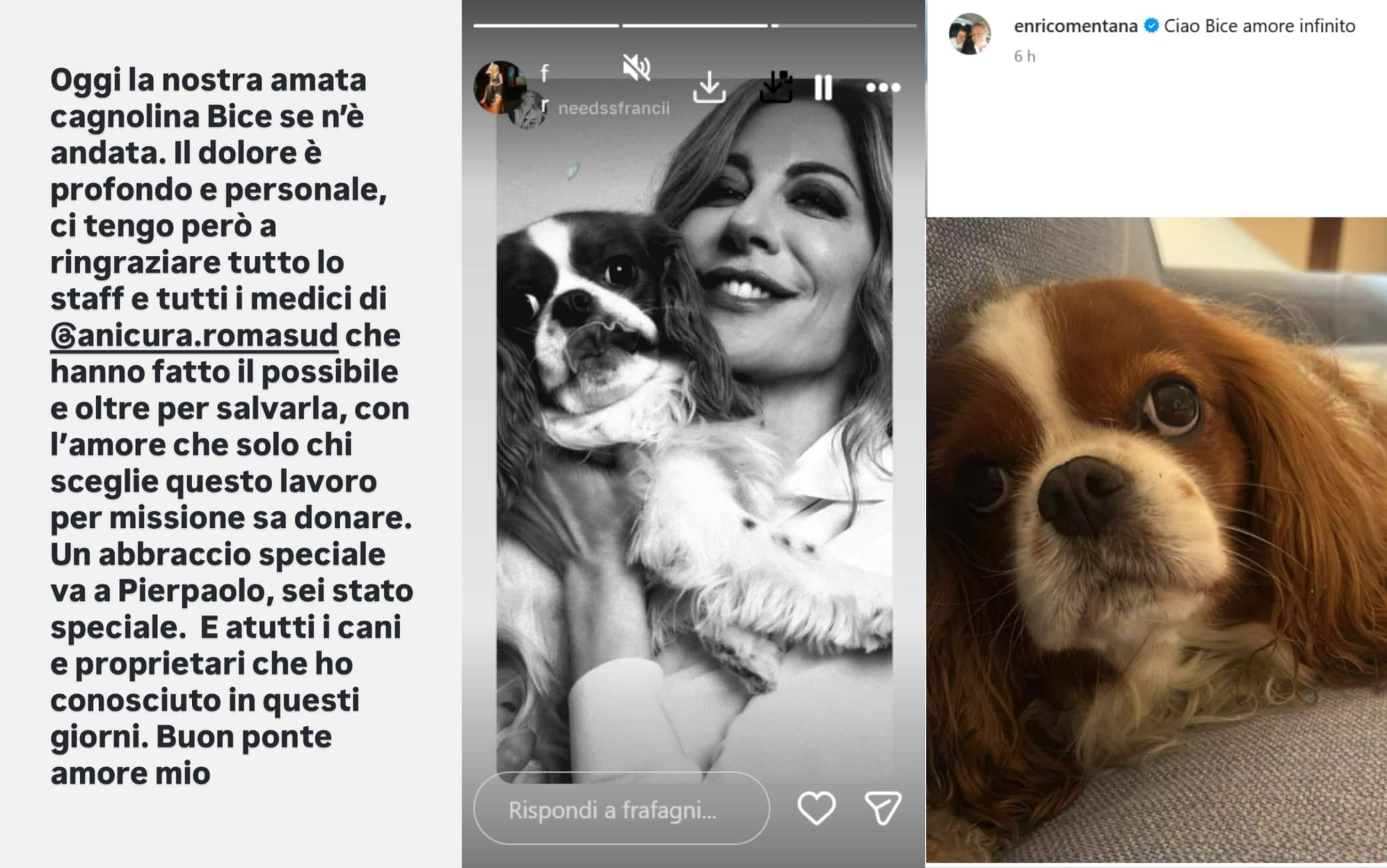 I messaggi social di Francesca Fagnani e Enrico Mentana