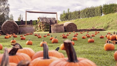 Il Ranch a Olgiate Olona (VA)