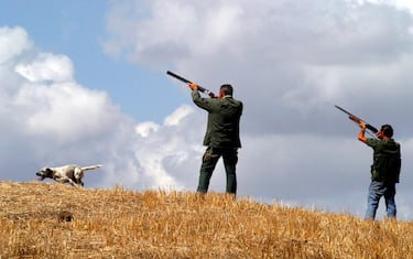 Una battuta di caccia