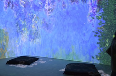 Claude Monet: The Immersive Experience