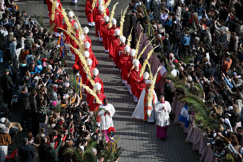 Cardinals take part in a procession as part of a mass for Palm Sunday by Pope Leo XIV at St Peter's square in the Vatican on March 29, 2026. (Photo by Marco BERTORELLO / AFP via Getty Images)