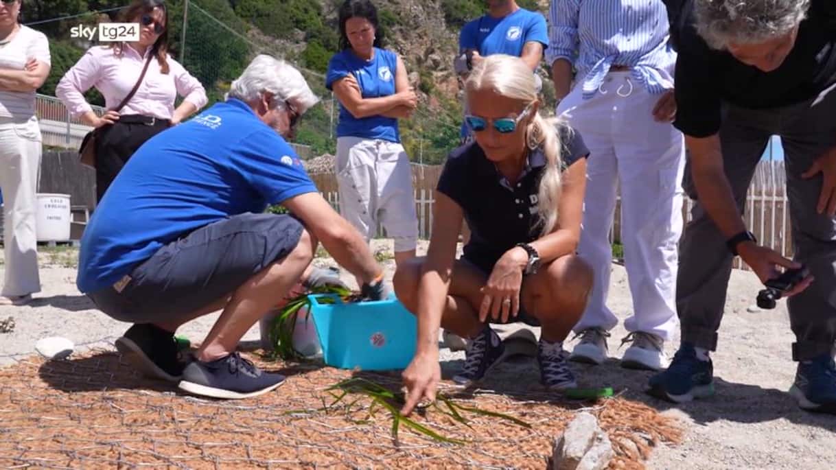 La professoressa Montefalcone nel ricordo del suo maestro