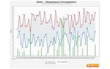 Copia di sagome uccelli autostrada - 1