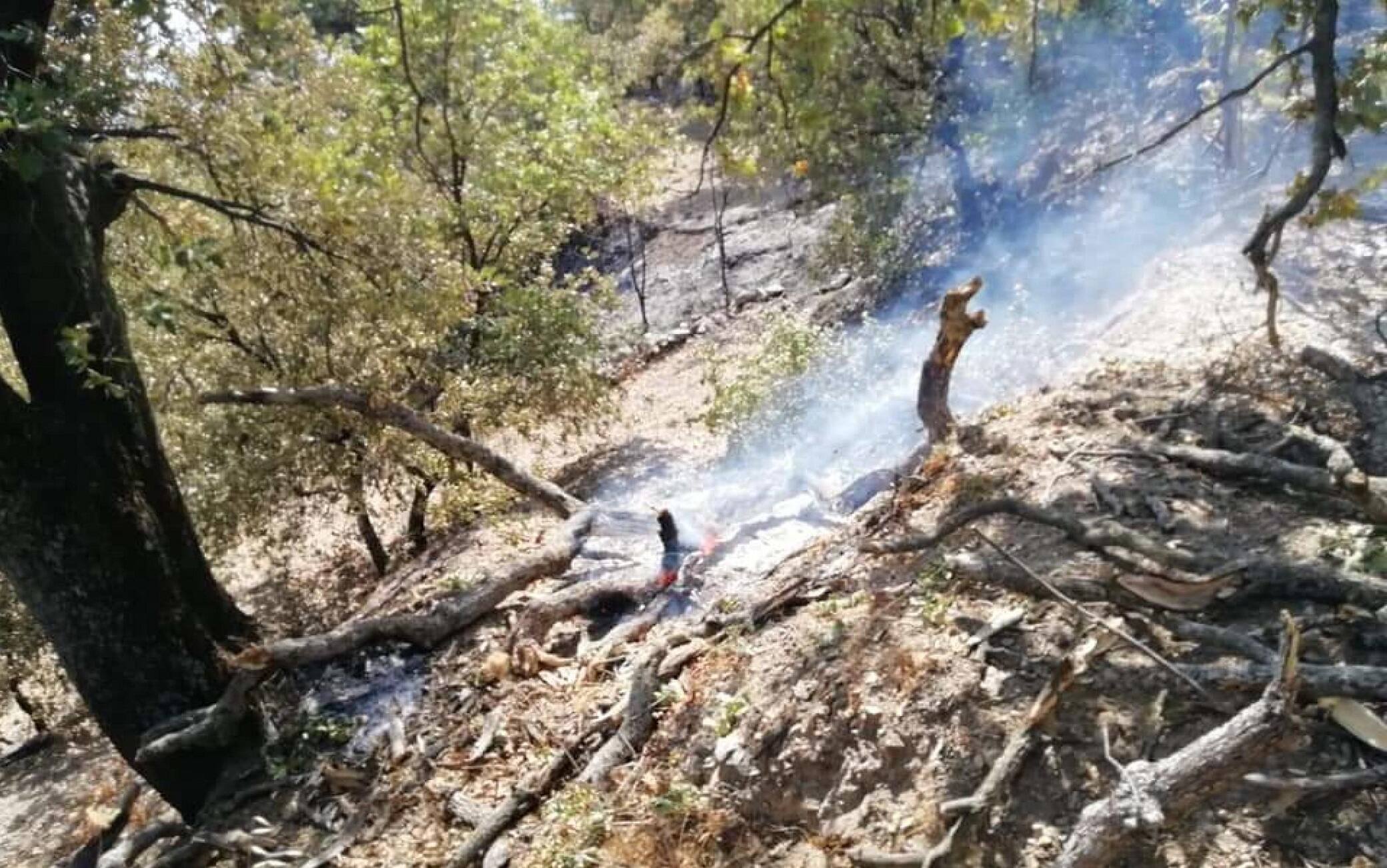 Incendi: volontari protezione civile, inneschi a Castelmola