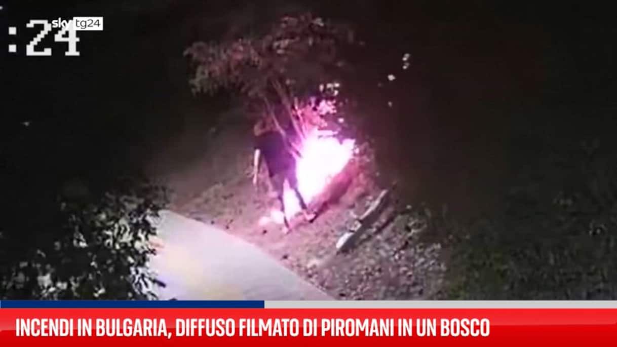 Incendi in Bulgaria, diffuso filmato di piromani in un bosco | Video ...