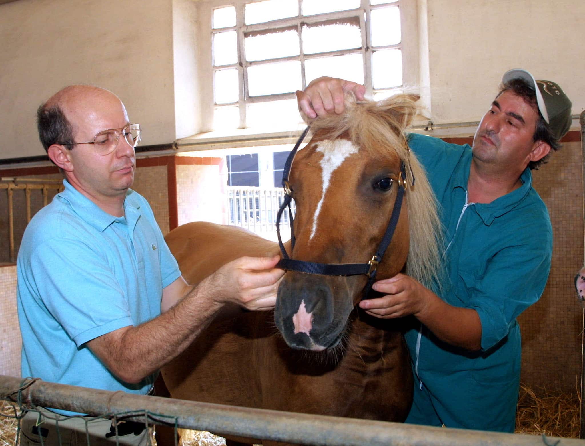  Il professor Cesare Galli (S) in un'immagine d'archivio del 6 agosto 2003