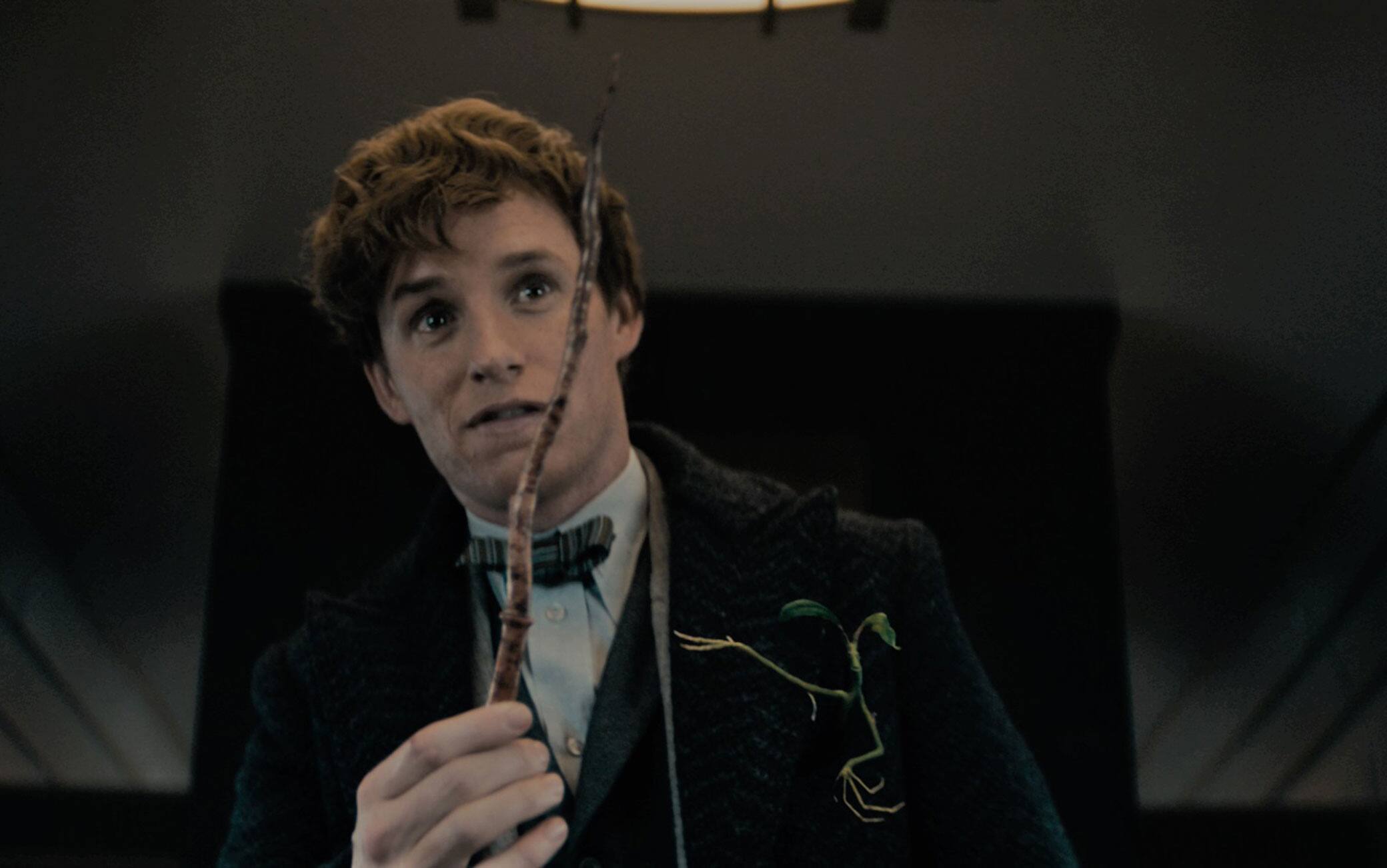 FANTASTIC BEASTS: THE SECRETS OF DUMBLEDORE