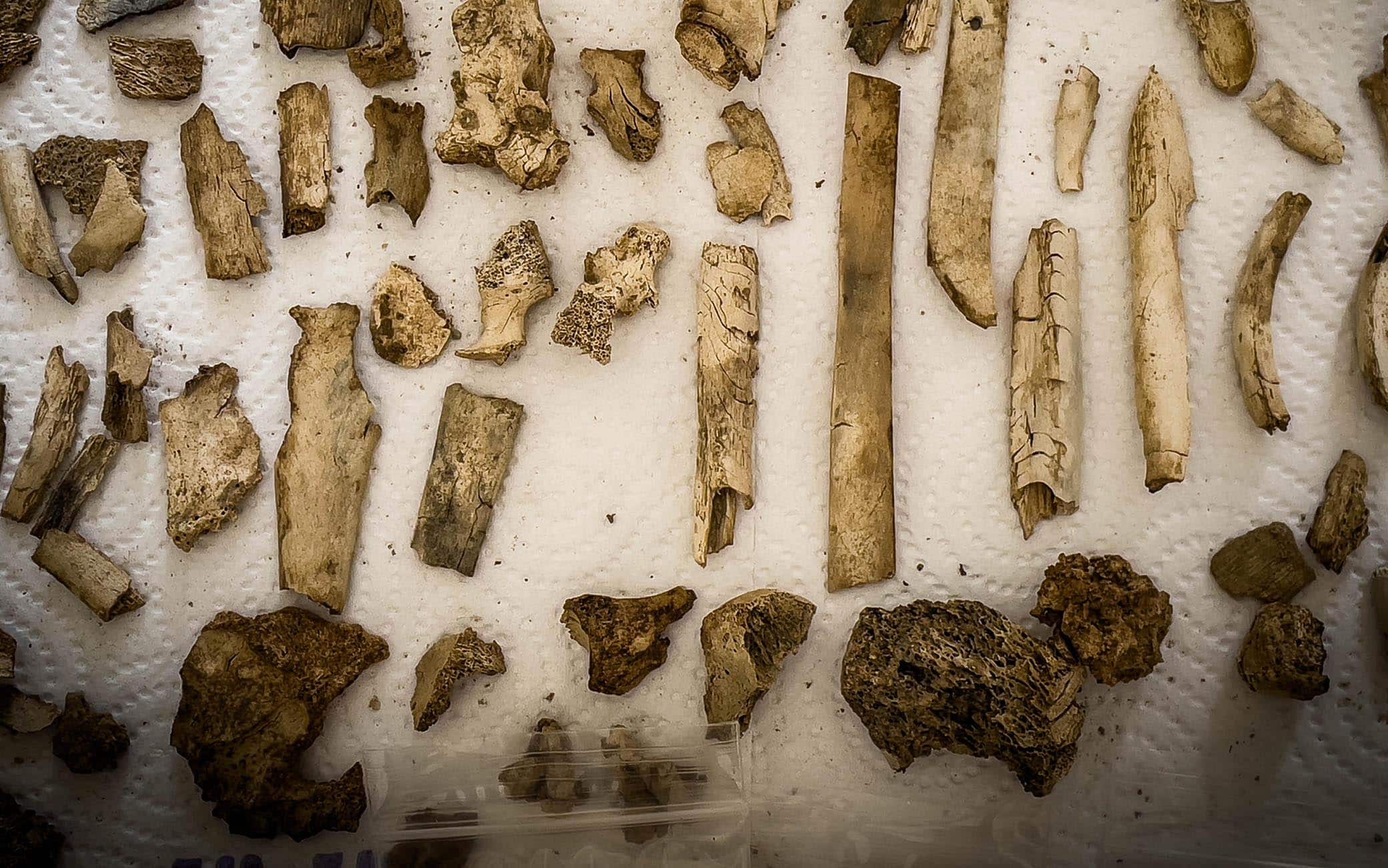 Rinvenuta una tomba con resti umani e suppellettili presso la necropoli di Porta Sarno, a est dell’antico centro urbano di Pompei. Sulla lastra marmorea posta sul frontone della tomba un’iscrizione commemorativa del proprietario Marcus Venerius Secundio richiama, straordinariamente, lo svolgimento a Pompei di spettacoli in lingua greca, mai prima attestati in maniera diretta. Si tratta dell’ultima scoperta di Pompei, avvenuta nel corso di una campagna di scavo promossa nell’area della necropoli di Porta Sarno, dal Parco Archeologico di Pompei e dall’Università Europea di Valencia Napoli 16 Agosto 2021. ANSA/CESARE ABBATE 