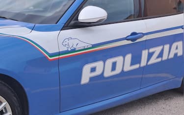 Questore Ancona, Polizia auto generica