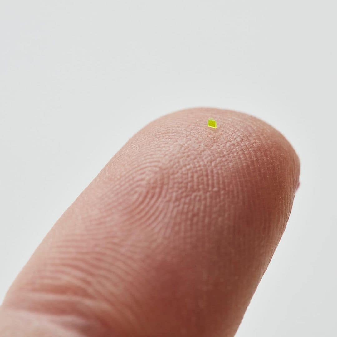 La borsa minuscola di Louis Vuitton ideata dal gruppo MSCHF