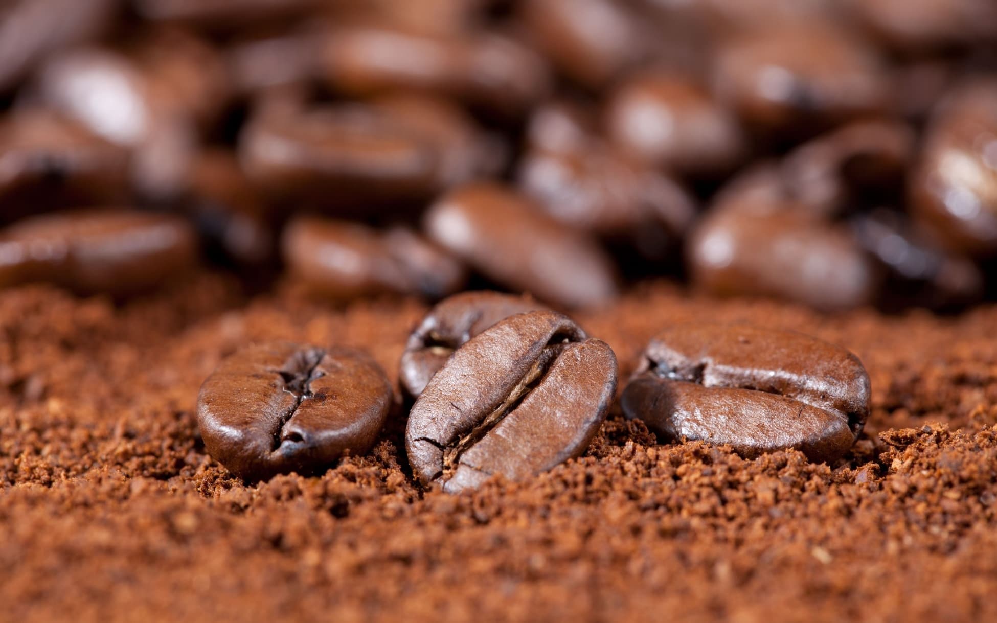 Il tramonto delle capsule, gli italiani tornano al caffè in chicchi: Lavazza spiega perché